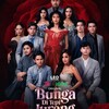 Logo of telegram channel bunga_ditepi533 — Bunga di tepi jurang 11