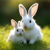 Логотип телеграм канала @bunnyedufun — Растем и развиваемся