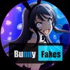 የቴሌግራም ቻናል አርማ bunnyfakes — Bunny Fakes