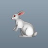 Логотип телеграм канала @bunnysh1ne0 — !!!шин