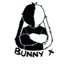 Logo of telegram channel bunnyxsupport — Bunny X Support