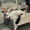 Telegram channel Бунт пушистых 🐾 logo