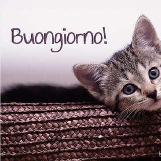 Telegram channel Buon giorno logo