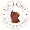 Логотип телеграм канала @burmalinlight — Бурма европейская LinLight