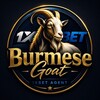 Logo of telegram channel burmesegoatfreetip — 𝐁𝐮𝐫𝐦𝐞𝐬𝐞 𝐆𝐨𝐚𝐭 𝐅𝐫𝐞𝐞 𝐓𝐢𝐩 ⚽💥