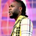 Telegram channel BURNA BOY MUSIC🎧🎧🎤 logo