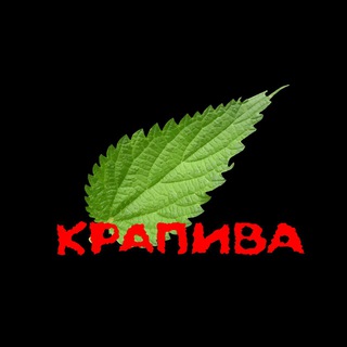 Логотип телеграм канала @burningmaster — Канал Крапива