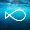 Логотип телеграм канала @buro_fish — Рыбная биржа России