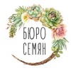 Логотип телеграм канала @buroseeds_succulents — Бюро семян суккулентов