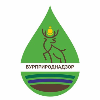 Логотип телеграм канала @burprirodnadzor — Бурприроднадзор
