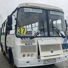 Логотип телеграм канала @bus3637tomsk — Движение автобусов с. Тимирязевское