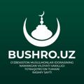 Logo saluran telegram bushro_uz — Bushro.uz | Rasmiy kanal