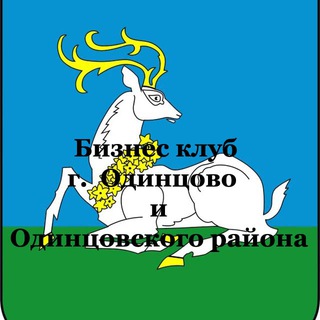 Логотип телеграм канала @businessclubodintsovo — Бизнес клуб Одинцово