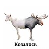 Логотип телеграм канала @businesslifesgood — Бизнес по русски🏴‍☠