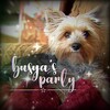 Логотип телеграм канала @busya_party — ᯓᴛуᴄᴏʙᴋᴀ буᴄьᴋиᯓ 🌷