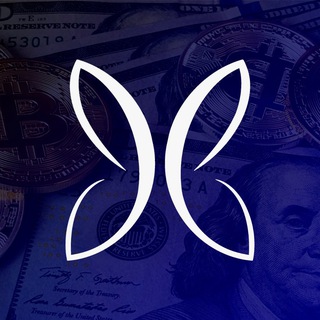 Логотип телеграм канала @butterfly_capital_news — Butterfly Capital News
