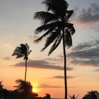 Logotipo del canal de telegramas butterflyhp - Butterfly🦋💸