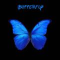 Logo saluran telegram butterflywing — BUTTERFLY/ቢራቢሮ
