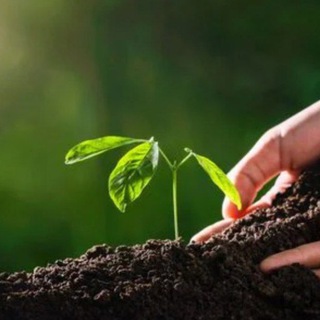 Telegram kanalining logotibi buxoro_agro — Agro olam(Buxoro)