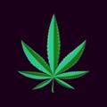 Logo of telegram channel buycokeinpoland — Marijuana in Warsaw Poland