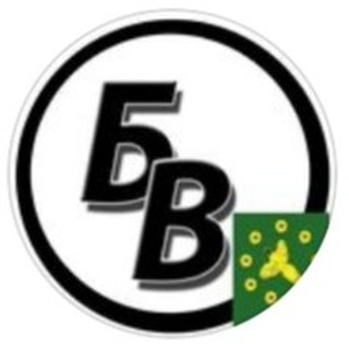 Логотип телеграм канала @bvestnik33 — Бикинский вестник