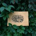 لوگوی کانال تلگرام bwadr — "هنآك جنــّة" 🌳🍃