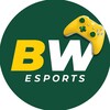 Логотип телеграм -каналу bwesports1 — BetWinner Esports