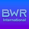 Logo of telegram channel bwrfeed — BLACKWATER™ International [ENG 🇺🇸]