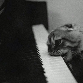 Логотип телеграм канала @bwv988 — DJ Goldberg