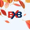 Логотип телеграм канала @bxbinternational — BXB Международная доставка и e-com