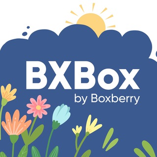Логотип телеграм канала @bxbox_buy_news — BXBox by Boxberry - Помощь с покупкой