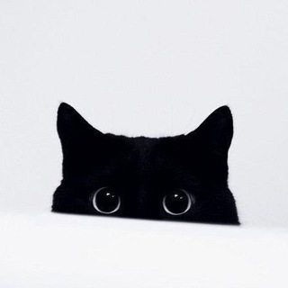 Логотип телеграм канала @by_cotique — ___〆(・∀・)