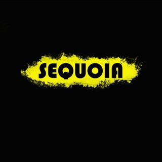 Логотип телеграм канала @by_sequoia — By_Sequoia