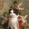 Логотип телеграм канала @byhanki — Одна тут БУХАНИРУЕШЬ?
