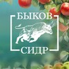 Логотип телеграм канала @bykovcider — Быков Сидр | Туры | Дегустация | Тольятти