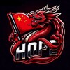 电报频道的标志 bypasspubghope — HOPE BYPASS🇨🇳中国希望官方频道