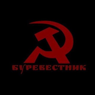 Логотип телеграм канала @byrevestnik1917 — БУРЕВЕСТНИК