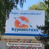Логотип телеграм канала @byrevestnik64 — «БУРЕВЕСТНИК»