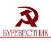 Логотип телеграм канала @byrevestnik_1917 — БУРЕВЕСТНИК•1917