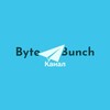 Логотип телеграм канала @bytebunch_ch — ByteBunch канал