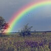 Логотип телеграм канала @bytpobeditelem — БОРЬБА И МУЖЕСТВО