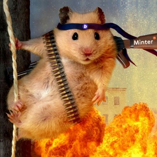 Логотип телеграм канала @byvalyihomyak — Бывалый Хомяк