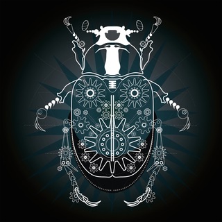 Логотип телеграм канала @c_insect — RB: CRYPTOINSECT🔹