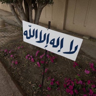 لوگوی کانال تلگرام c68co — Quran🤍.