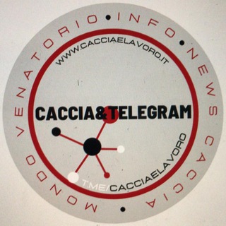 Logo del canale telegramma caccia_telegram - Caccia&Telegram