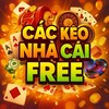 Logo of telegram channel cackeouytin — BÀO KHUYẾN MÃI NHÀ CÁI