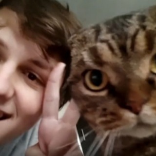 Логотип телеграм канала @cacto888 — Мысли Жопира | 5opka - Пятёрка