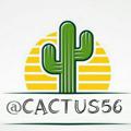 Logo saluran telegram cactus56 — 🌵ڪاڪـتوس🌵