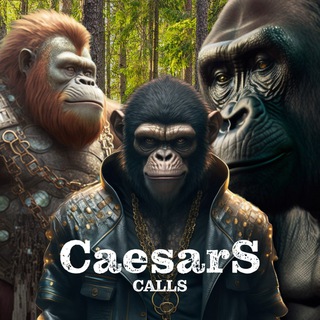 Logo of telegram channel caesars_calls — CaesarsCalls