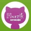 Логотип телеграм канала @cafemurzik16 — Котоклуб «MURZIK»